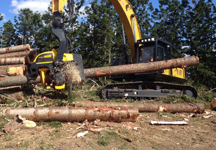 Single Page Thumbnail