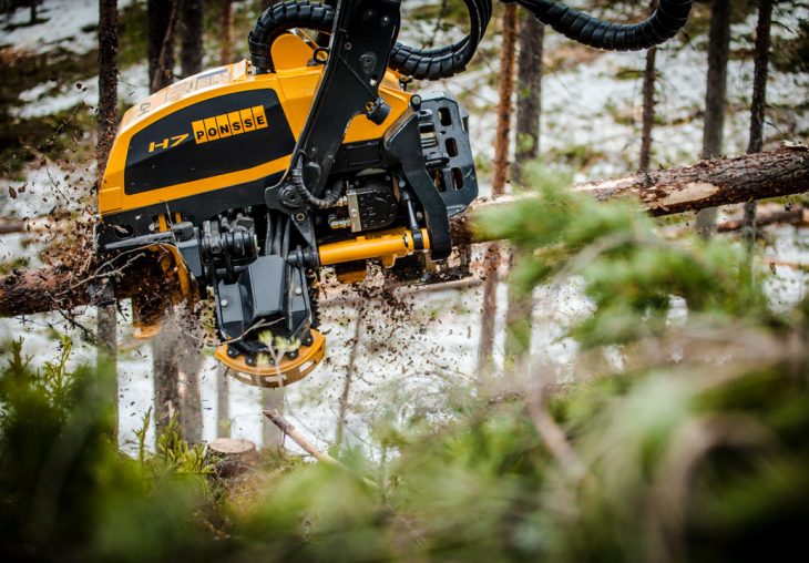 Single Page Thumbnail