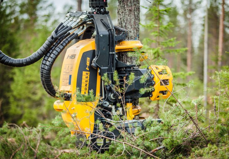 Single Page Thumbnail