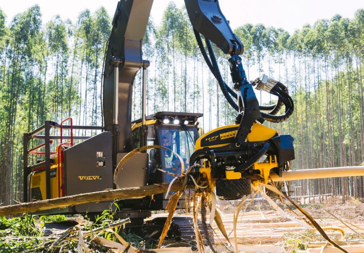 Single Page Thumbnail