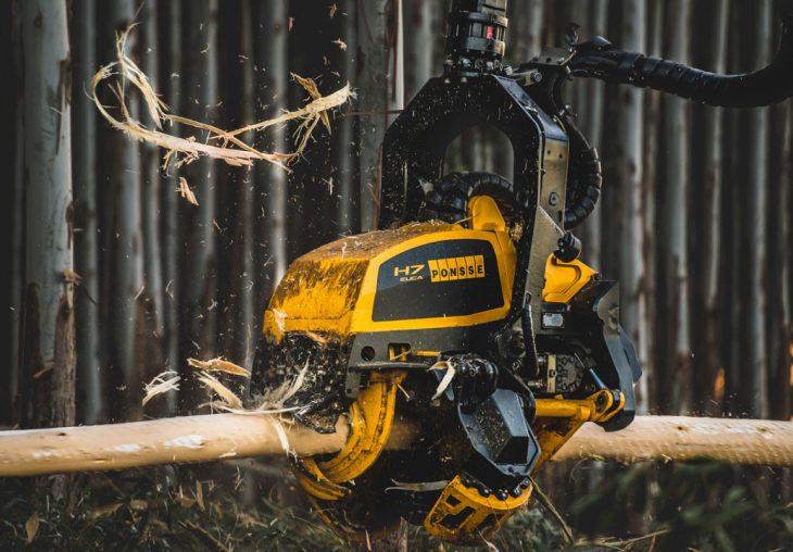 Single Page Thumbnail