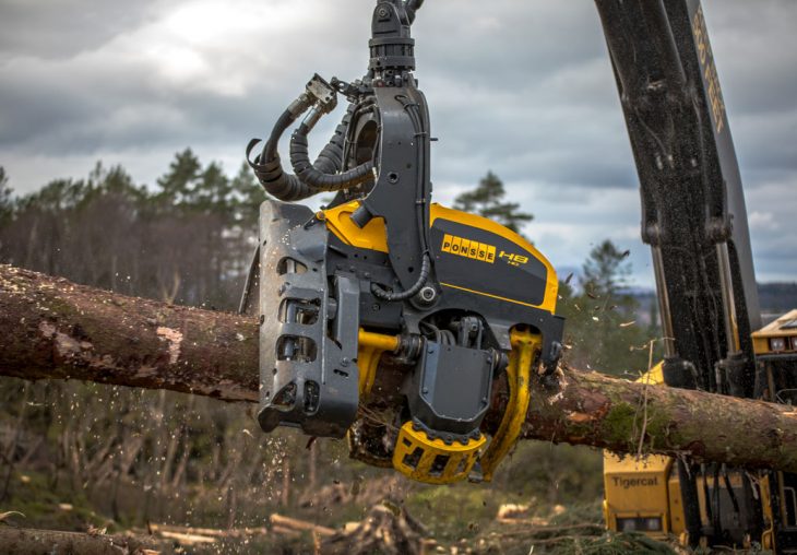 Single Page Thumbnail