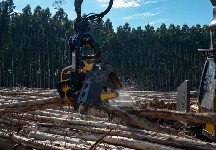 Single Page Thumbnail