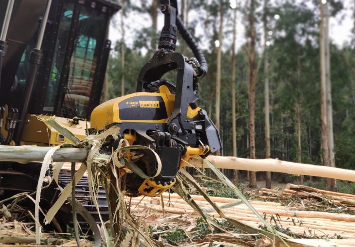 Single Page Thumbnail