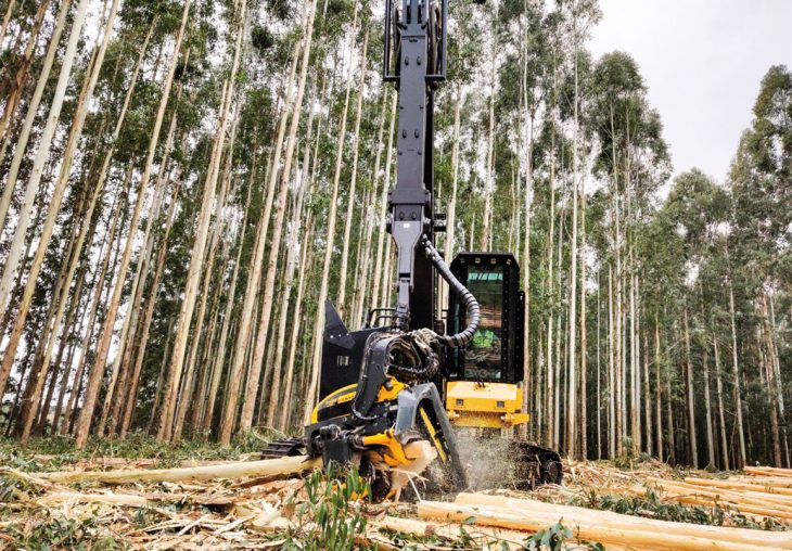 Single Page Thumbnail