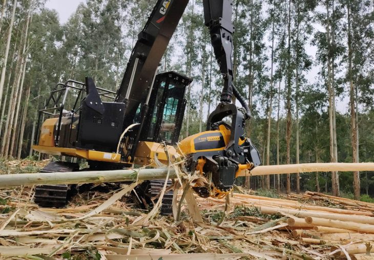 Single Page Thumbnail