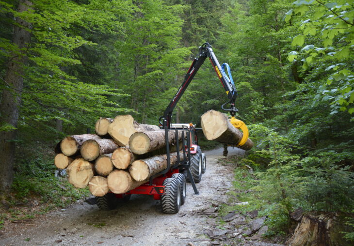 Single Page Thumbnail