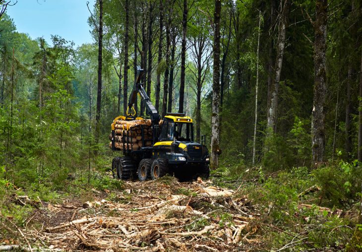 Single Page Thumbnail