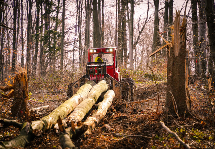 Single Page Thumbnail