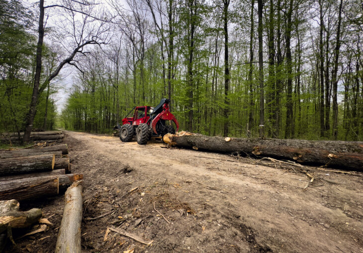 Single Page Thumbnail