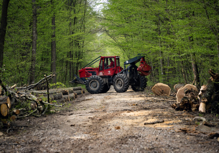 Single Page Thumbnail