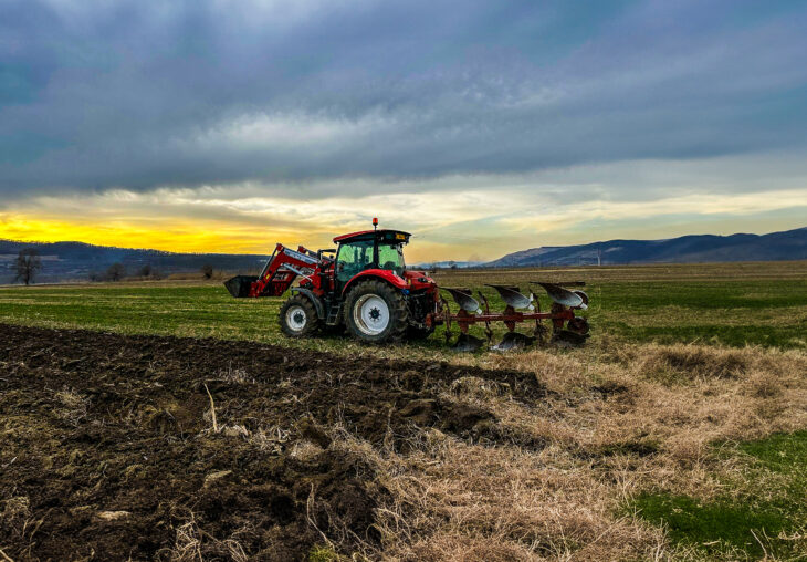 Single Page Thumbnail