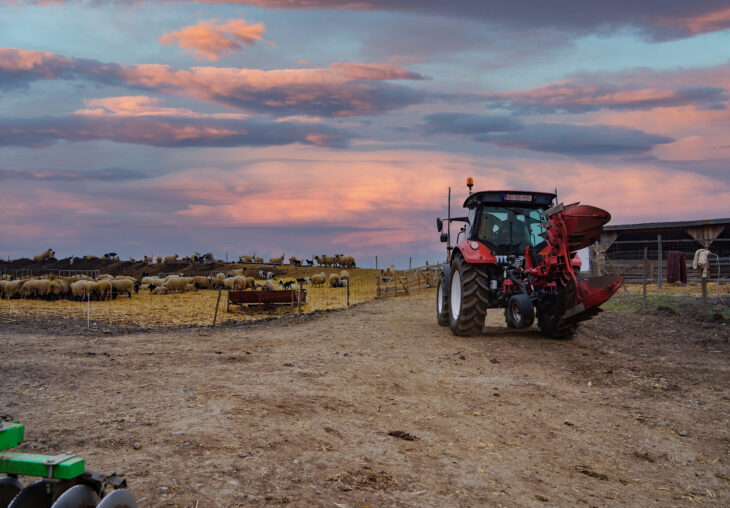 Single Page Thumbnail