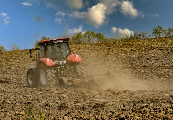 Single Page Thumbnail