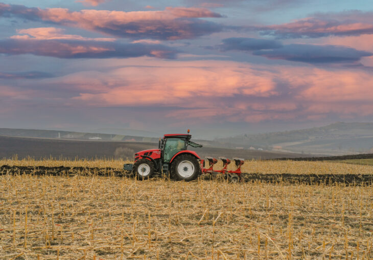 Single Page Thumbnail