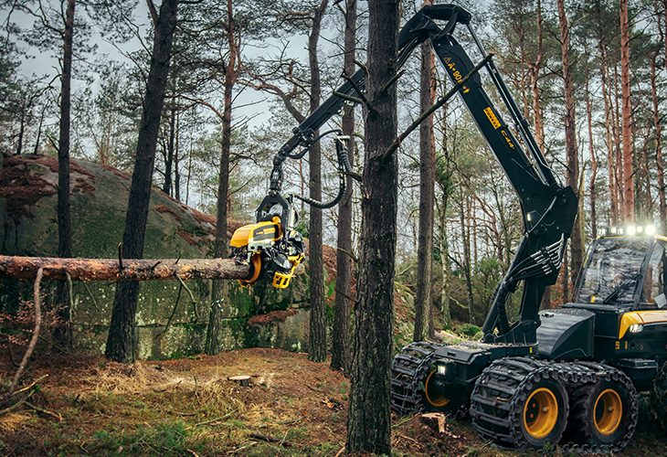 Single Page Thumbnail