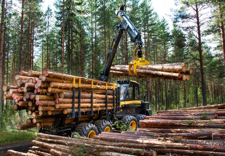 Single Page Thumbnail