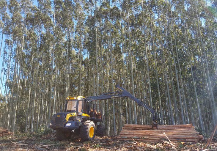 Single Page Thumbnail