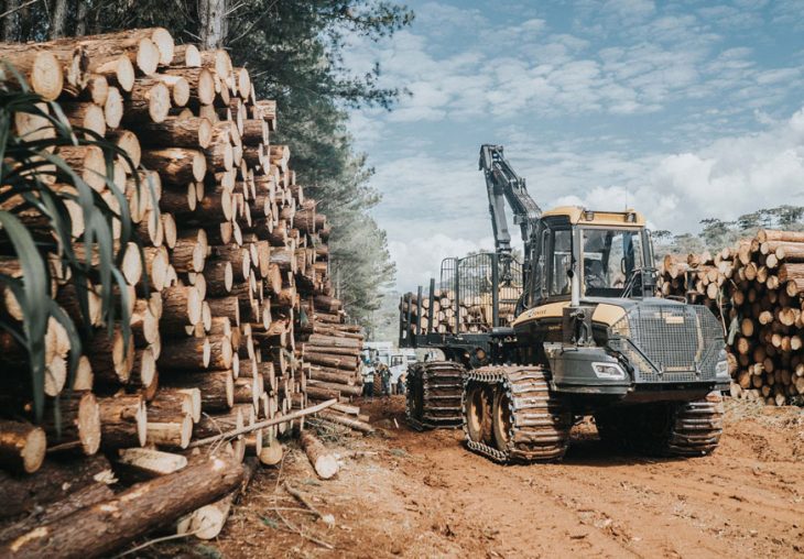 Single Page Thumbnail