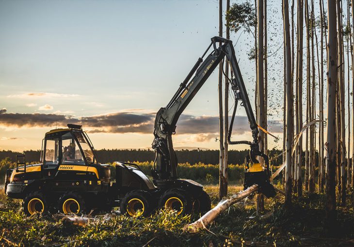 Single Page Thumbnail