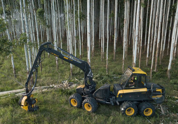 Single Page Thumbnail