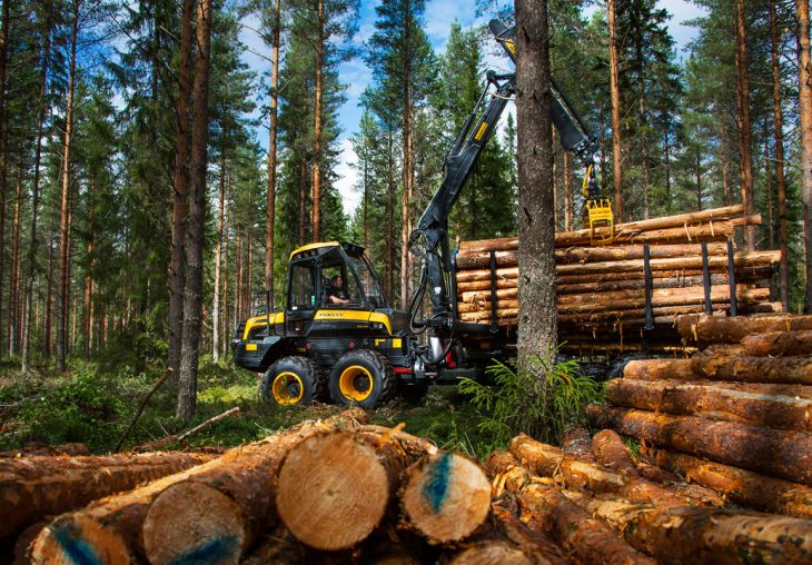 Single Page Thumbnail