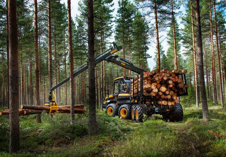 Single Page Thumbnail