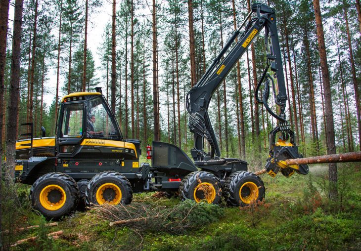 Single Page Thumbnail