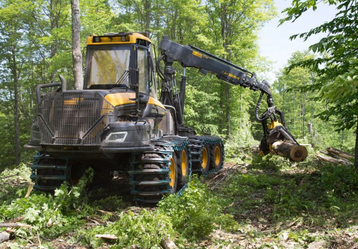 Single Page Thumbnail