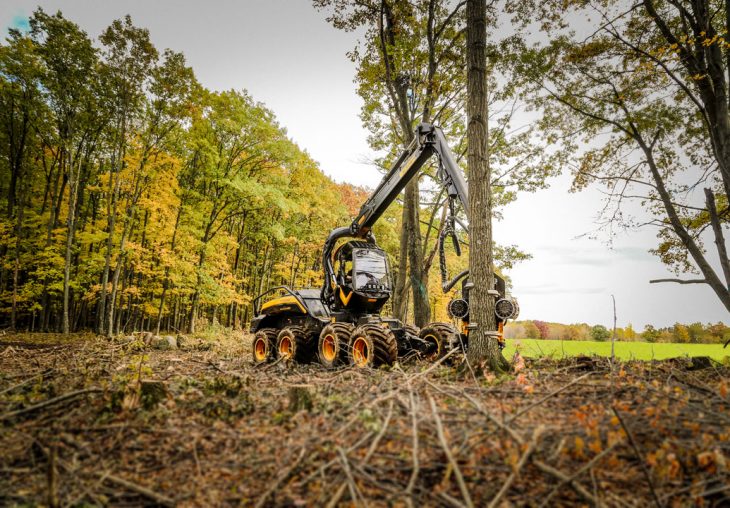 Single Page Thumbnail