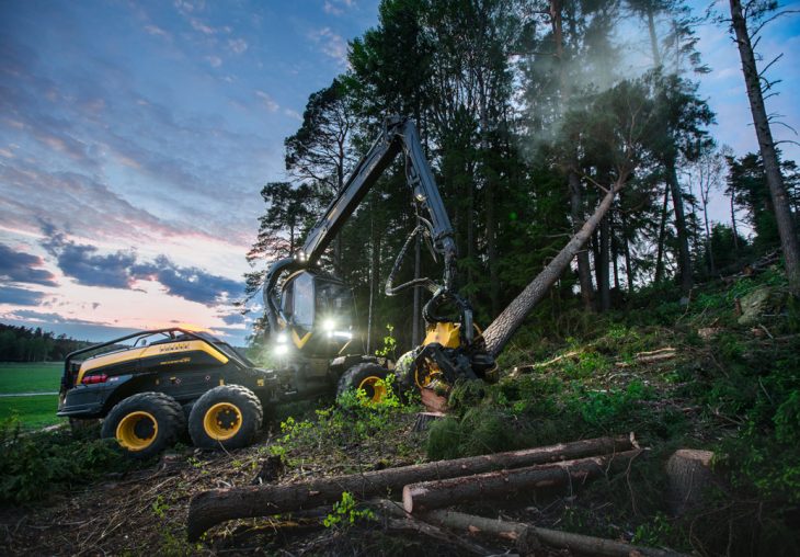 Single Page Thumbnail