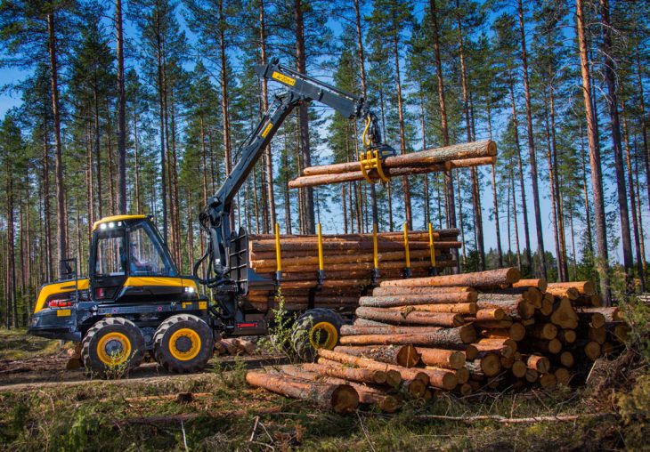 Single Page Thumbnail