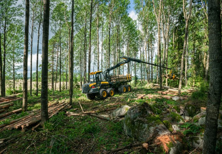 Single Page Thumbnail