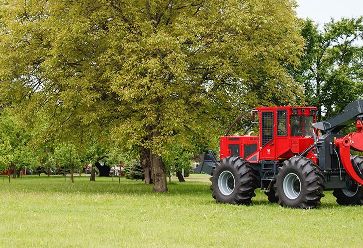 Single Page Thumbnail