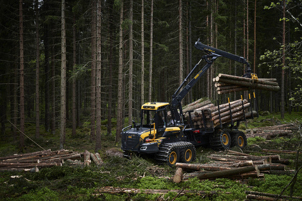 Single Page Thumbnail