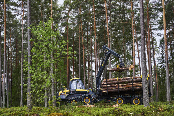 Single Page Thumbnail