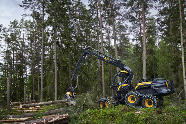 Single Page Thumbnail