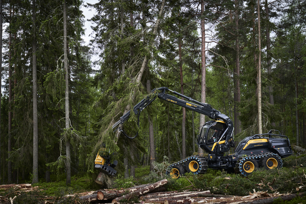 Single Page Thumbnail